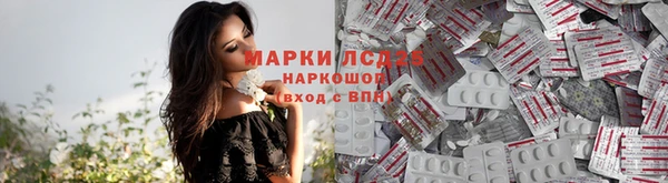 сатива Беломорск