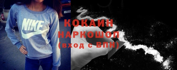 сатива Беломорск