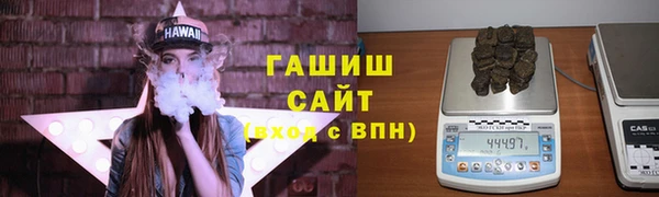 сатива Беломорск