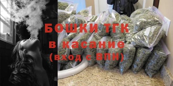 сатива Беломорск